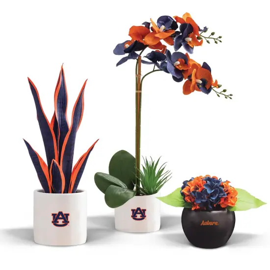 Auburn Tigers Faux Snake Plant, Hydrangea and Orchid (3 Pack) - Ultimate Fan Gift Bundle {1}
