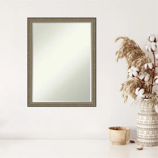 Petite Bevel Wood Wall Mirror, Parisian Silver Frame {1}