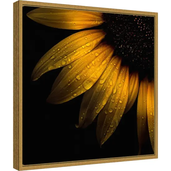 Sunflower Detail by Brian Carson 16-in. W x 16-in. H. Canvas Wall Art Print Framed in Gold {2}