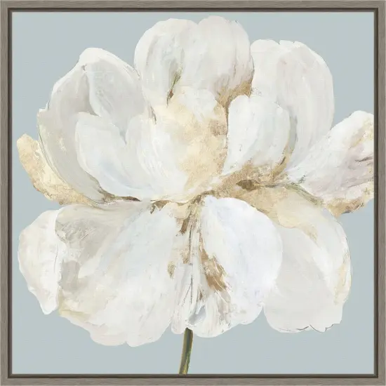 Garden Queen II (White Peony Flower) by Asia Jensen 16-in. W x 16-in. H. Canvas Wall Art Print Framed in Grey {1}