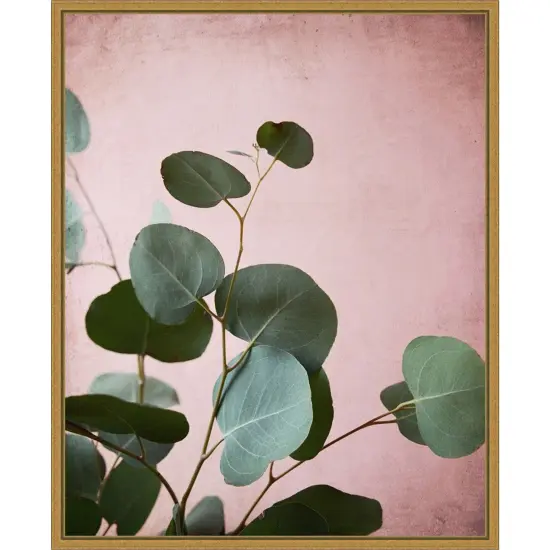 Sage Eucalyptus No. 2 by Lupen Grainne 16-in. W x 20-in. H. Canvas Wall Art Print Framed in Gold {1}