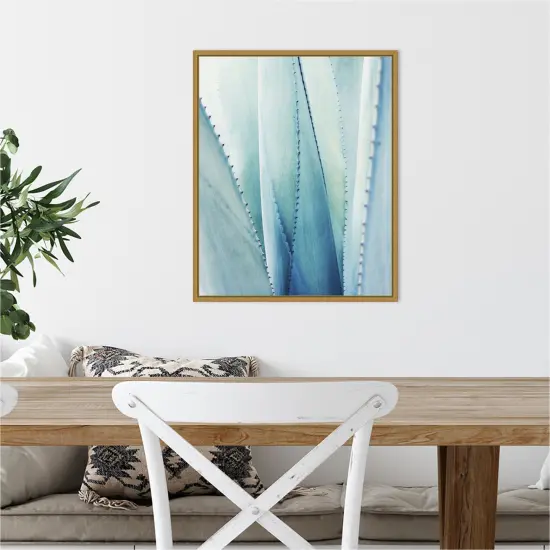 Pale Blue Agave Succulent No. 1 by Lupen Grainne 16-in. W x 20-in. H. Canvas Wall Art Print Framed in Gold {4}
