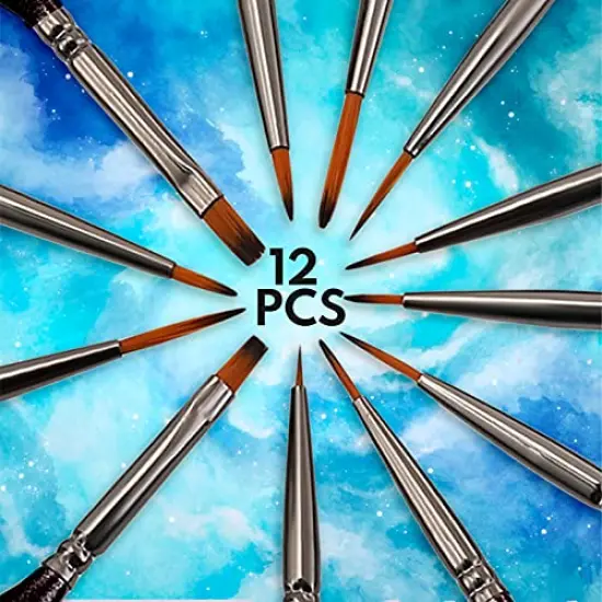 VUDECO Black Detail Paint Brush Set - 12 Piece Miniature Paint Brushes Kit - Professional Mini Fine Paint Brushes Set {2}