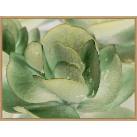 Petal I by Tang Ling 30-in. W x 23-in. H. Canvas Wall Art Print Framed in Natural {1}