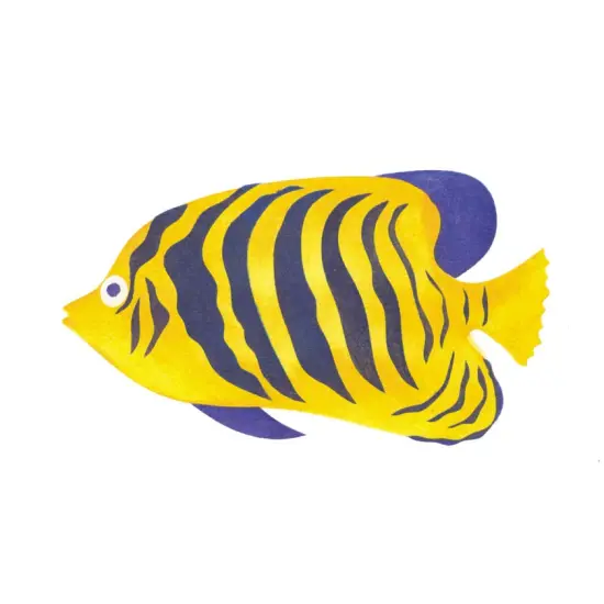 Angel Fish Wall Stencil | 1116 by Designer Stencils | Animal & Nature Stencils | Reusable Art Craft Stencils for Painting on Walls, Canvas, Wood | Reusable Plastic Paint Stencil for Home Makeover | Easy to Use & Clean Art Stencil {1}