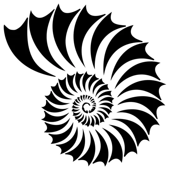 Nautilus Shell Embossing 12 x 12 Stencil | FS067 by Designer Stencils | Reusable Stencils for Painting | {1}