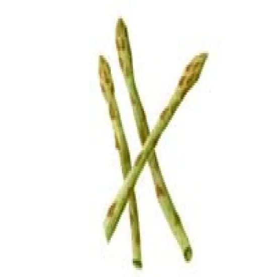 Asparagus Craft Stencil | 1259R by Designer Stencils | Reusable Art Craft Stencils for Painting on Walls, Canvas, Wood | Reusable Plastic Paint Stencil for Home Makeover | Easy to Use & Clean Art Stencil {2}