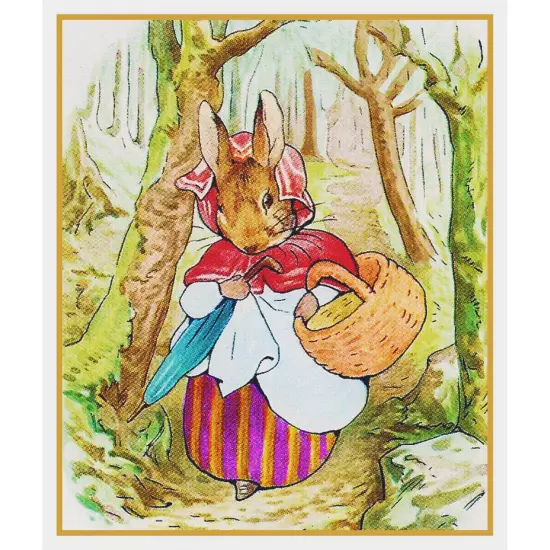 Beatrix Potter Mrs Rabbit Goes Market Counted Cross Stitch Chart Pattern {2}