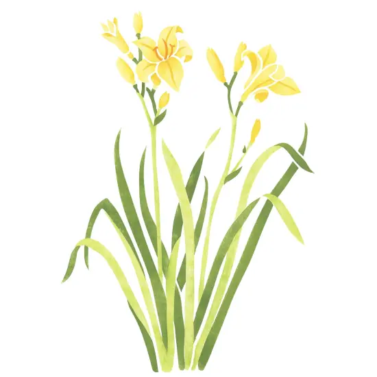 Daylily Wall Stencil | 1823 by Designer Stencils | Floral Stencils | Reusable Art Craft Stencils for Painting on Walls, Canvas, Wood | Reusable Plastic Paint Stencil for Home Makeover | Easy to Use & Clean Art Stencil {1}