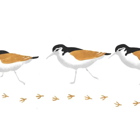 Sandpiper Wall Stencil Border | 002R by Designer Stencils | Reusable Art Craft Stencils for Painting | {2}