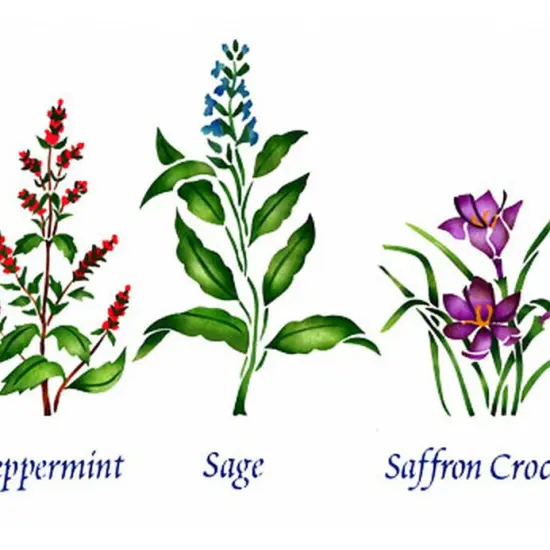 Large Standing Herbs: Peppermint, Sage, Saffron Wall Standing Stencil | 2233 by Designer Stencils | Word & Phrase Stencils | Reusable Art Craft Stencils for Painting on Walls, Canvas, Wood | Reusable Stencil for Home Makeover | Easy to Use & Clean {2}
