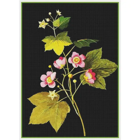 American Raspberry Flower inspired Mary Delany Counted Cross Stitch Pattern {2}
