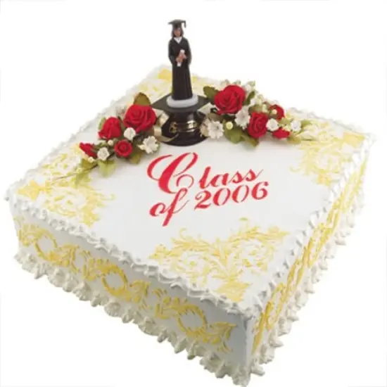 Feathered Scroll Cake Stencil Corner | C161 by Designer Stencils | Cake Decorating Tools | Baking Stencils for Royal Icing, Airbrush, Dusting Powder | Reusable Plastic Food Grade Stencil for Cakes | Easy to Use & Clean Cake Stencil {2}