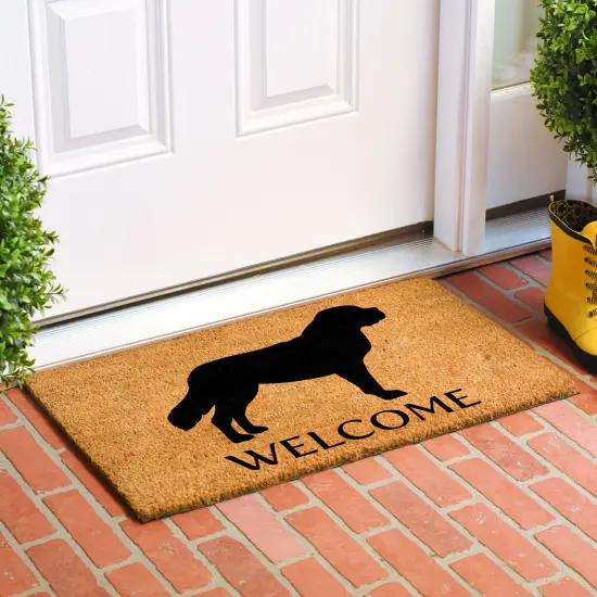 St. Bernard Doormat {3}