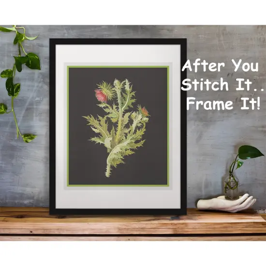 Nodding Thistle Plant by Mary Delany Counted Cross Stitch Pattern {4}