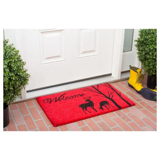 Winter Welcome Doormat {2}