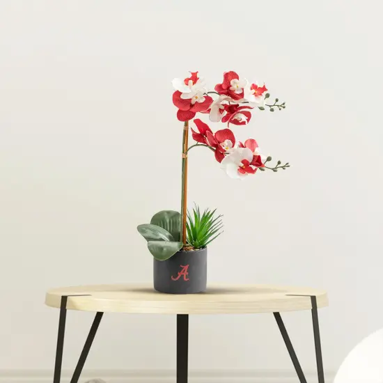 Alabama Orchid Plant - University of Alabama Faux Orchid Plant - Alabama Gifts for Men, Alabama Gifts for Women - Alabama Gifts, Crimson Tide Decorations - Office Accessories for Men {2}