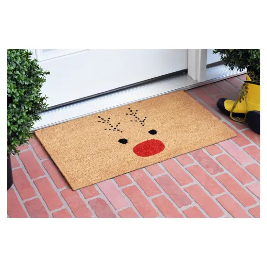 Rudolph Doormat {7}