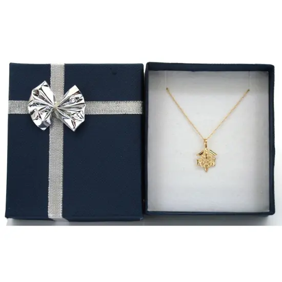 14K Gold RN Nurse Caduceus Symbol Charm with 18" Gold Cable Chain & Gift Box {1}