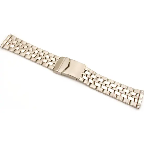 Stainless Steel Wrist Watch Band Bracelet Deployment Buckle & 2 Spring Bars 22mm {2}