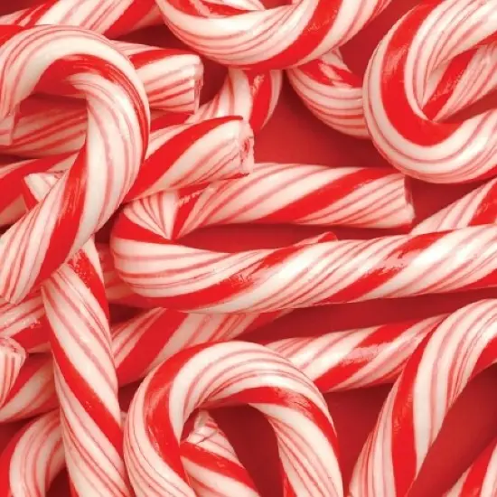 Candy Cane Bliss Fragrance Oil (Our Version of the Brand Name) (8 oz Bottle) for Candle Making, Soap Making, Tart Making, Room Sprays, Lotions, Car Fresheners, Slime, Bath Bombs, Warmers&hellip; {2}