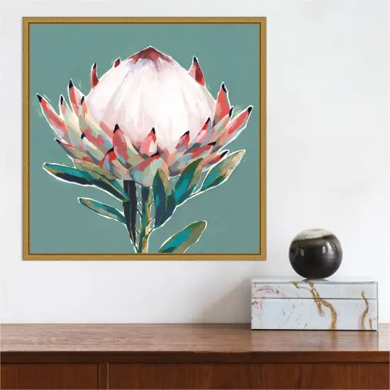 Blooming Pink King Protea Flower by Isabelle Z 16-in. W x 16-in. H. Canvas Wall Art Print Framed in Gold {5}