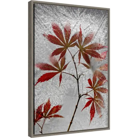 red maple by Secundino Losada 16-in. W x 23-in. H. Canvas Wall Art Print Framed in Grey {2}