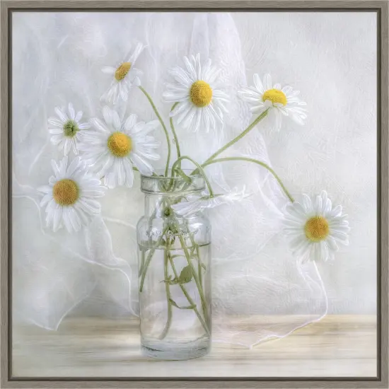 Daisies by Mandy Disher 16-in. W x 16-in. H. Canvas Wall Art Print Framed in Grey {1}