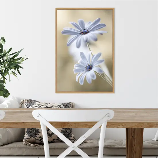 Cape daisies by Mandy Disher Canvas Wall Art Print Framed Natural {4}