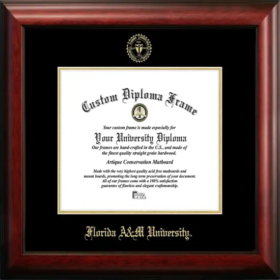 Florida A&M University 11w x 8.5h Gold Embossed Diploma Frame {1}