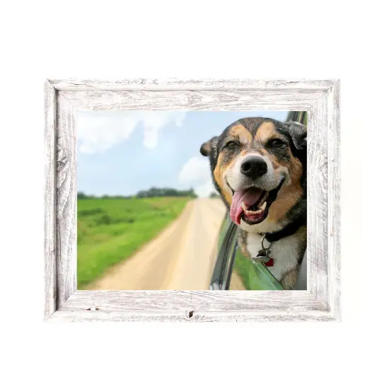 Rustic Farmhouse Signature Series 9 in. x 12 in. Reclaimed Wood Picture Frame White {4}