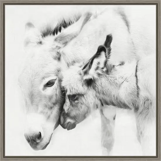 Donkey Portrait III by PHBurchett 16-in. W x 16-in. H. Canvas Wall Art Print Framed in Grey {1}
