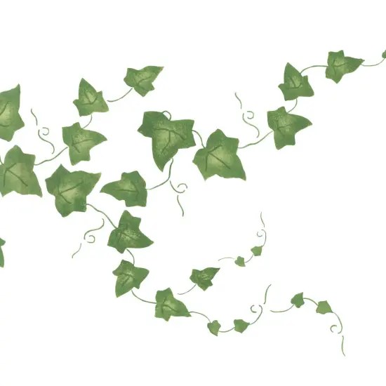 Large Ivy Wall Stencil | 2278 by Designer Stencils | Floral Stencils | Reusable Art Craft Stencils for Painting on Walls, Canvas, Wood | Reusable Plastic Paint Stencil for Home Makeover | Easy to Use & Clean Art Stencil {2}