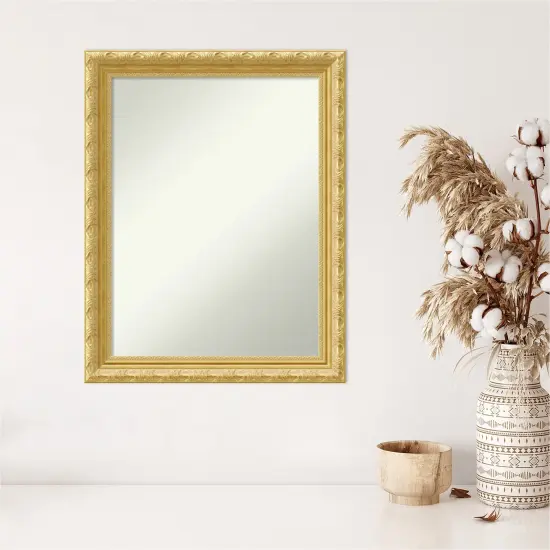 Amanti Art Non-Beveled Wood Wall Mirror, Versailles Gold Frame {5}