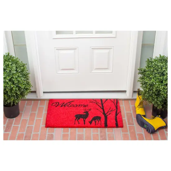 Winter Welcome Doormat {3}