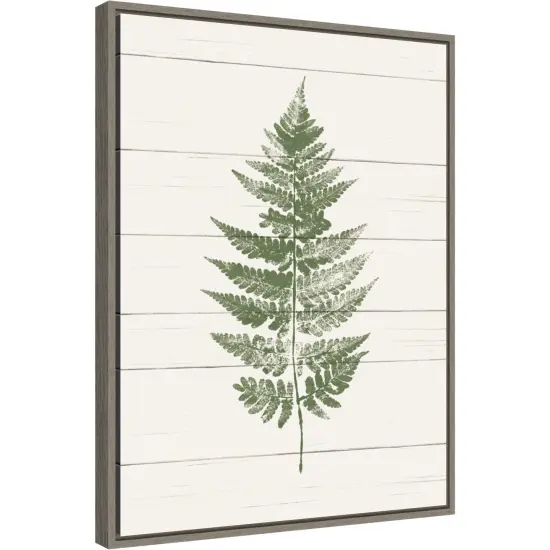 Fern Print I by Moira Hershey 18-in. W x 24-in. H. Canvas Wall Art Print Framed in Grey {2}