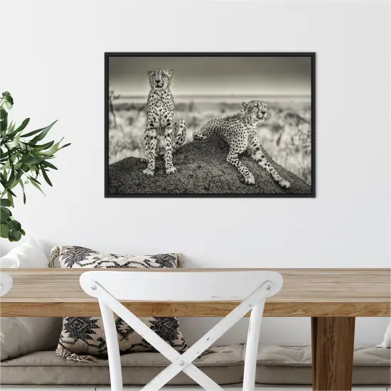 Two Cheetahs watching out by Henrike Scheid 23-in. W x 16-in. H. Canvas Wall Art Print Framed in Black {4}