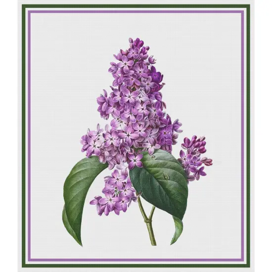 Lilac Flower Inspired by Pierre-Joseph Redoute Counted Cross Stitch Pattern {2}