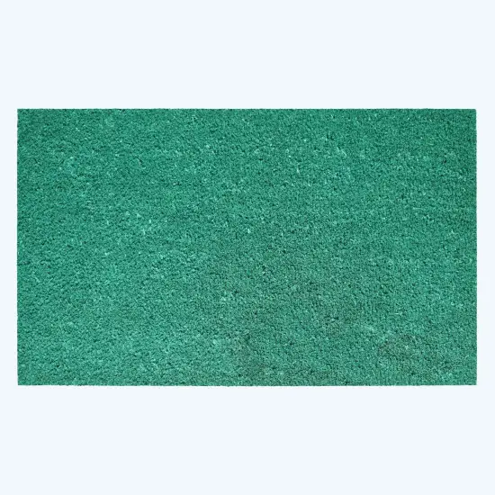 105791729NP Collins Sea Green Pastel Doormat {1}
