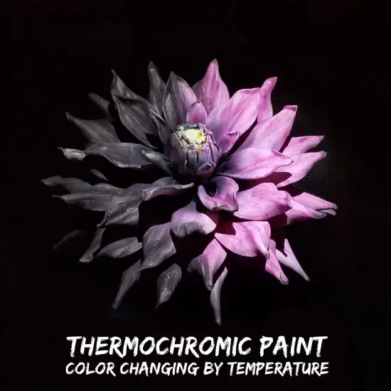 Temperature Activated Color Changing Thermochromic Paint Heat & Cold Reactive Black colorless158&deg;f {5}