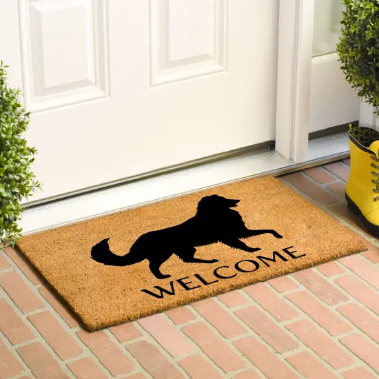 105621729 Australian Shephard Doormat {3}