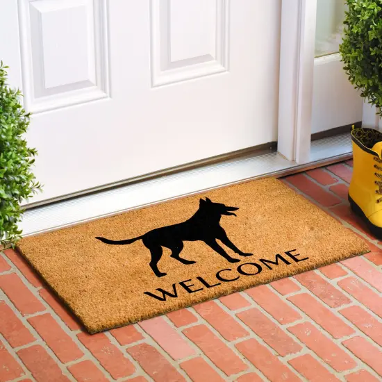 Belgian Malinois Doormat {3}