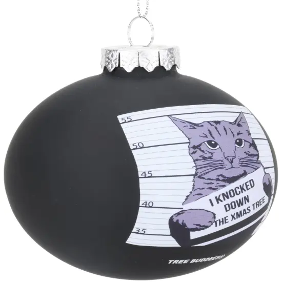 Cat Mugshot Glass Christmas Ornament {2}