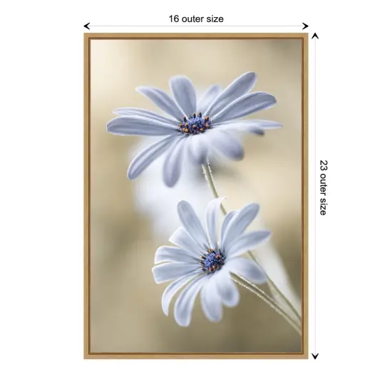 Cape daisies by Mandy Disher Canvas Wall Art Print Framed Natural {1}