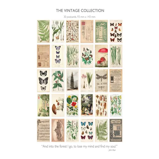Vintage Collection Postcard Set: Pack of 30 Retro Style Botanical, Nature and Ephemera Postcards by Wintertime Crafts {5}
