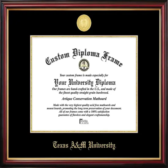 Texas A&M University Petite Diploma Frame {1}