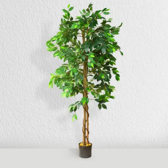 72" Artificial Ficus Silk Tree in Black Pot (2 Pack) {2}