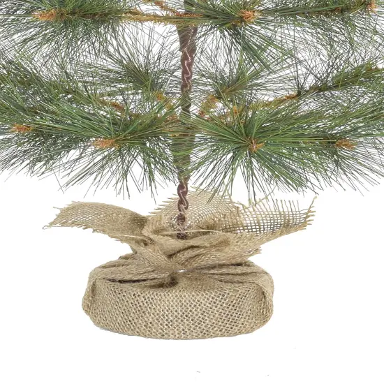 Perfect Holiday 24" Tabletop Mountain Pine Christmas Tree With Burlap Base {4}