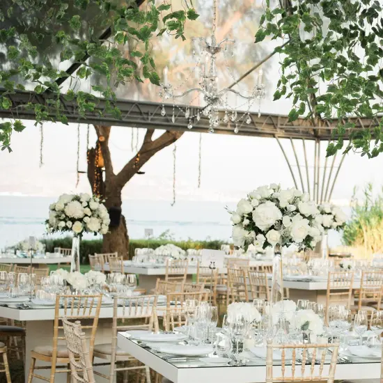 Grand Verde Artificial Vines Silk Leaves Hanging Ivy Greenery Faux Grapevine Garland Decoration Green Plants DIY Wreath Craft, 5 Strands Bulk {6}