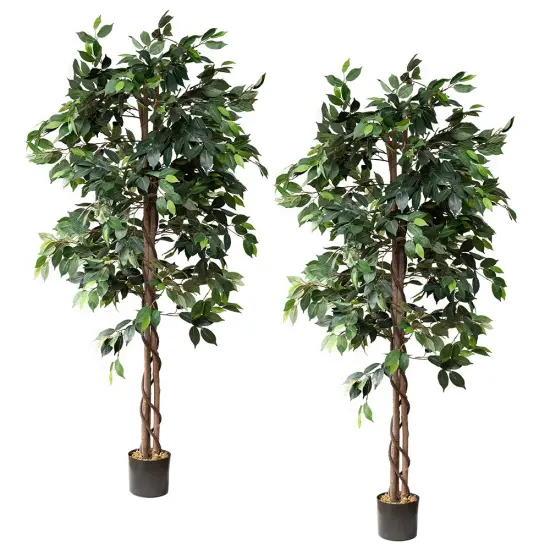 72" Artificial Ficus Silk Tree in Black Pot (2 Pack) {1}